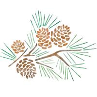 [스텐실도안]솔방울