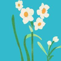 [스텐실 도안]HJ-2049