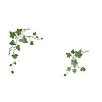 [스텐실 도안]HJ-2076