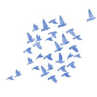 [스텐실 도안]HJ-3002