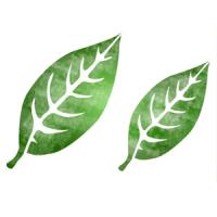 [스텐실 도안]WJ-2003