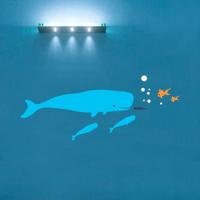 [WS] 헬로우 고래