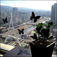 [AI] 윈도우 에펠