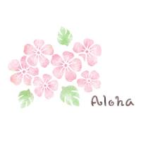 [하와이안스텐실도안]AJ-2084