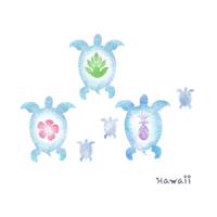 [하와이안스텐실도안]AJ-2085