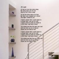 [FD]사랑이 찾아왔어요