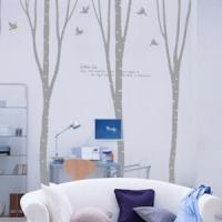 [MK]자작나무 숲에서