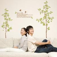 [DB] 올리브 나무 사이로