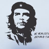 [LN](LU-M22)체 게바라