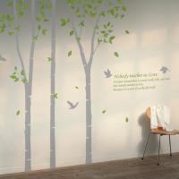 [LN](LU-B16)자작나무