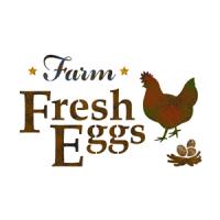 [스텐실도안]NS-3502