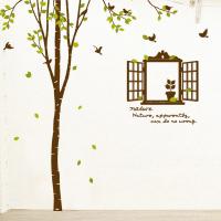 [MK]자작나무숲의 오후