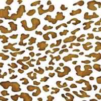 [스텐실도안]AJ-3090(표범무늬)