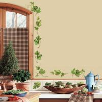 [RM]에버그린 아이비