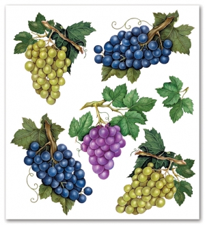 AS-106 Wine Grapes