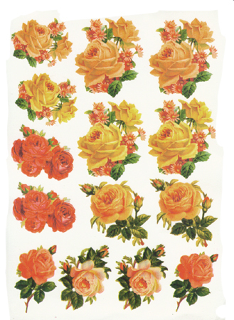 로즈 로맨틱 디칼 (011)