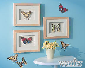 [월리스] 나비2 Butterflies