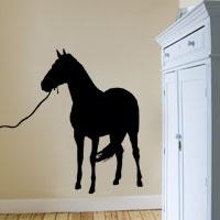 [DA] 카우보이와 말