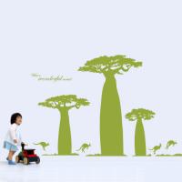 [WS] 원도풀 바오밥(대)