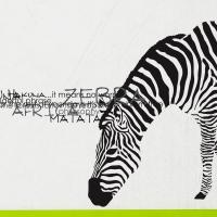 [MK] 지브라그래피