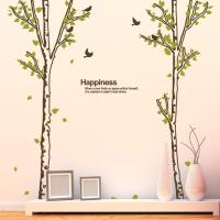 [MK] nature_002 숲속의 자작나무 1