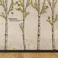 [MK] nature_003 숲속의 자작나무 2