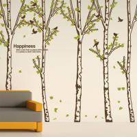 [MK] nature_004 숲속의 자작나무 3