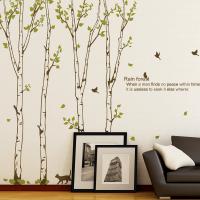 [MK] nature_005 자작나무 숲의 하루 1