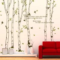 [MK] nature_006 자작나무 숲의 하루 2