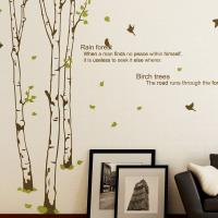 [MK] nature_007 자작나무 숲의 하루 3