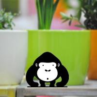 [WS] 애니-The고릴라