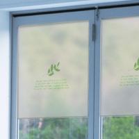 [MK] blind_c028 안개칼라시트_초록잎