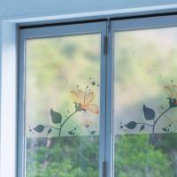 [MK] blind_c030 안개칼라시트_모닝뷰티