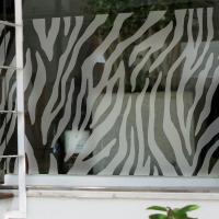 [MK] blind_68 지브라