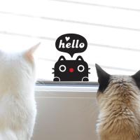 [JD] 헬로우 루돌캣