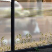 [MK] 안개칼라시트_bright leave