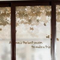 [MK] 안개칼라시트_가을여행