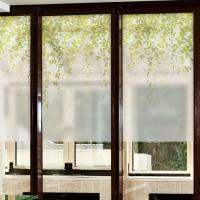 [MK] 안개칼라시트_아침정원