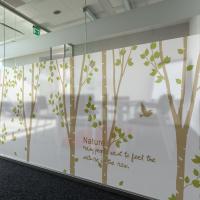 [MK] 안개칼라시트_행복한 자작나무