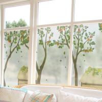 [MK] 안개칼라시트_감나무풍경