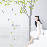 [HA] dc016-행복한 자작나무 숲 (1)