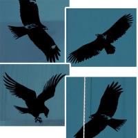 [HA] dk004-버드세이버