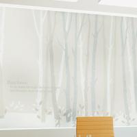 [MK] 고급안개시트_rain forest1