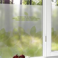 [MK] 안개칼라시트-낙엽이야기