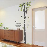 [HA] dc043-행복한자작나무B