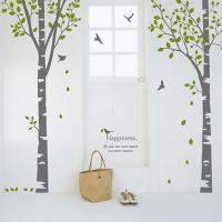 [HA] dc041-행복한자작나무(A+B)셋트