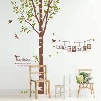 [HA] dc044-자작나무와포토라인