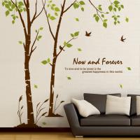 [JD] 자작나무 숲의 이야기