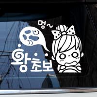 [JD] 멍... 왕초보