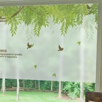 [MK] 칼라안개시트_우리집 행복한 등나무정원